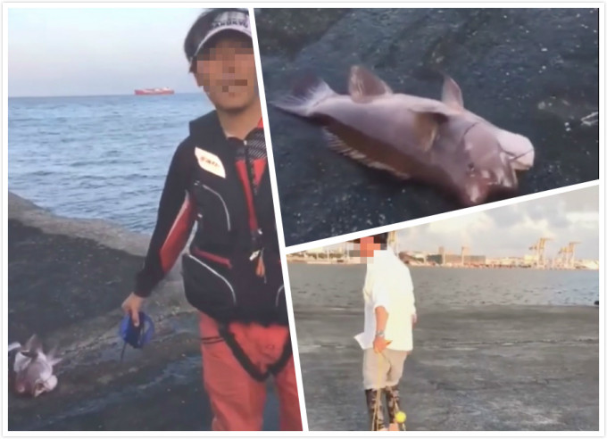 香港釣魚男子日本虐魚捱轟。網上圖片