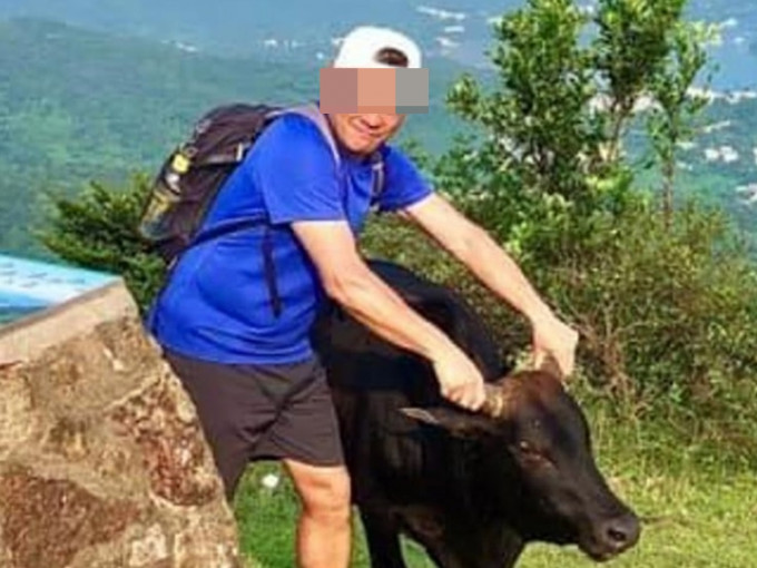 一名男子行山時，以雙手捉住兩隻牛角「打卡」拍照。「香港行山遠足之友(吹水山谷）」ＦＢ圖片