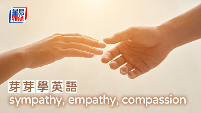 陈东红 - sympathy , empathy, compassion｜芽芽学英语