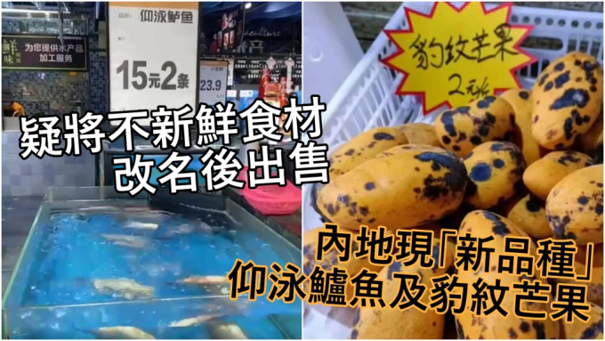 内地市场近日出现「新品种」仰泳鲈鱼及豹纹芒果。网图