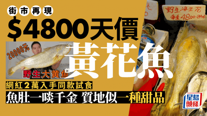 香港再現$4800天價海黃花 大陸網紅2萬入手拍試食片慘被嘲笑│飲食熱話