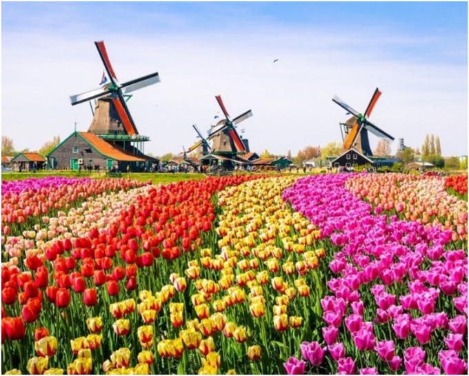 荷兰是香港第13个双边工作假期计画夥伴。