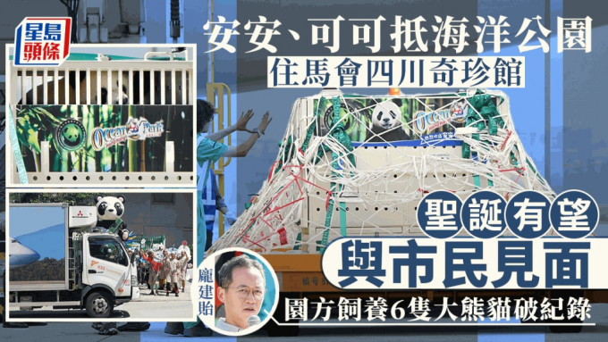 大熊猫抵港︱安安可可入住马会四川奇珍馆 庞建贻：照顾人手暂时足够