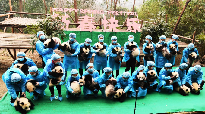 23只名饲养员各自抱著一只大熊猫宝宝，排成「2017」字形。中新社