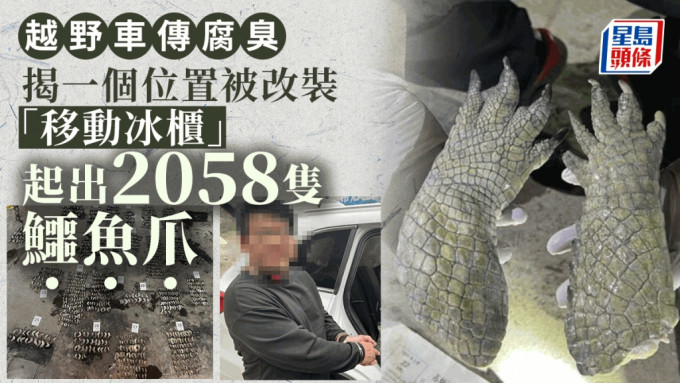 越野車底冰櫃檢獲2058隻鱷魚爪 散發腐爛味遭載查司機被捕