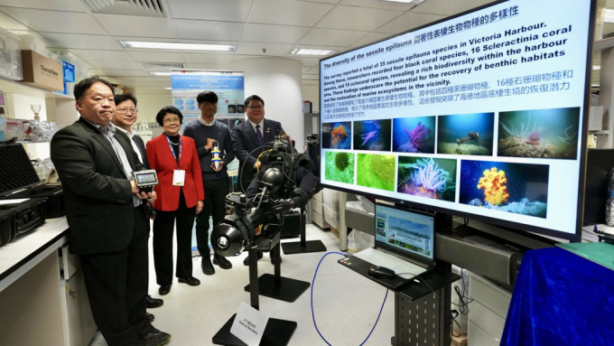城大新研究在维港海底发现35种珊瑚。苏正谦摄