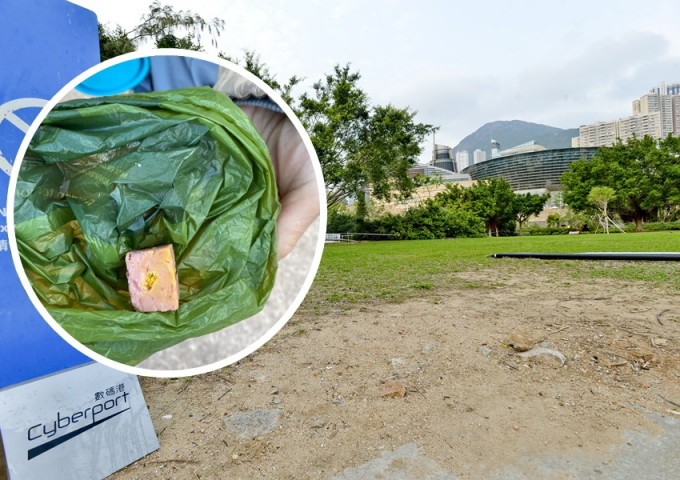 數碼港海濱公園發現有毒餌(小圖，Hong Kong Dog Rescue HKDR)，愛協懸賞金額增至42.2萬元。資料圖片