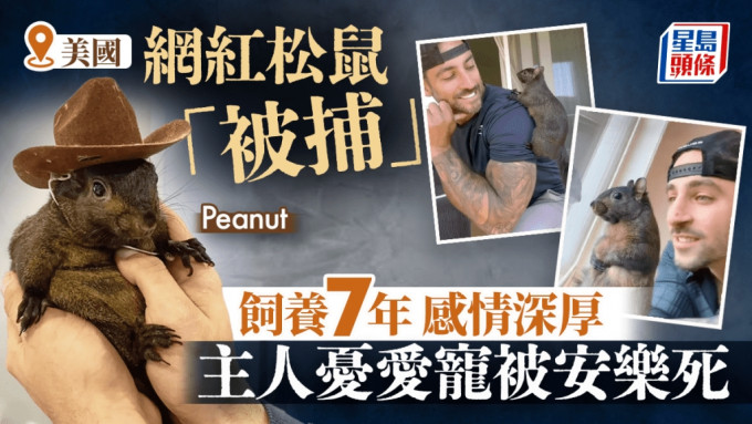 网红松鼠Peanut被当局「拘捕」，指其为非法饲养的野生动物，可能危害公众安全。