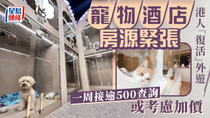 复活节将至，宠物酒店宿位渴市，有宠物酒店集团每星期接获逾500个查询。