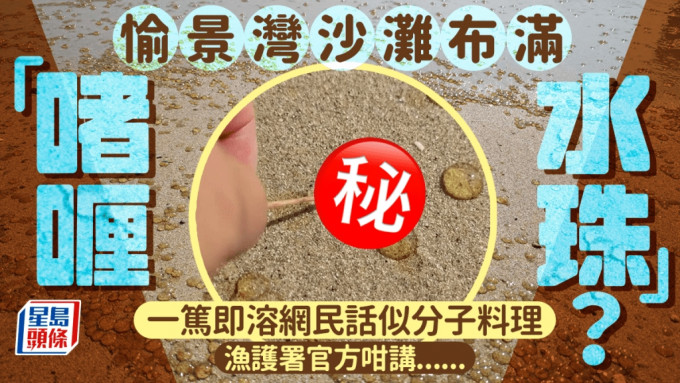 愉景灣沙灘布滿啫喱水珠？ 網民：激似分子料理 漁護署咁講。圖片授權Lisa Chan