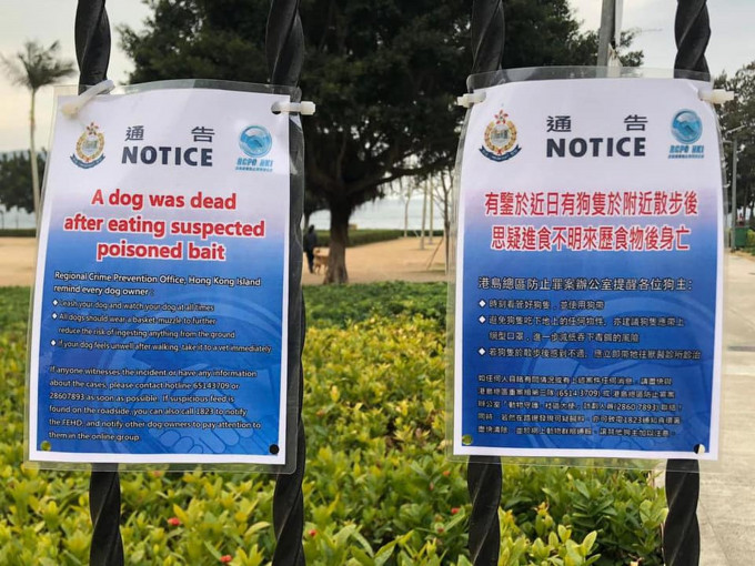 數碼港海濱公園發生多宗毒狗案。資料圖片