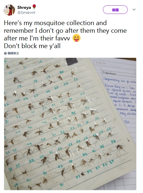 女網友的Twitter顯示蚊屍筆記簿。（網圖）