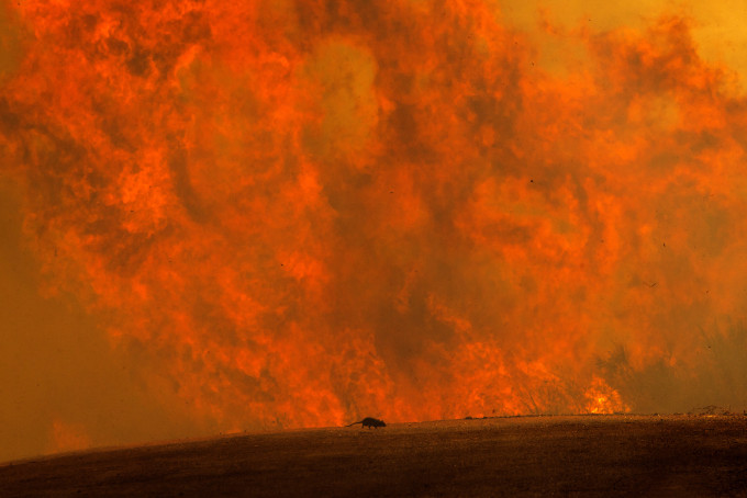 南加州山火已蔓延逾1600公頃。 AP