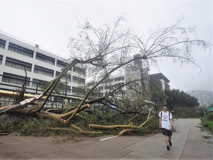 教联会去信教育局局长杨润雄，建议当局向每所学校发放10万元一笔过拨款，助学校维修。 资料图片