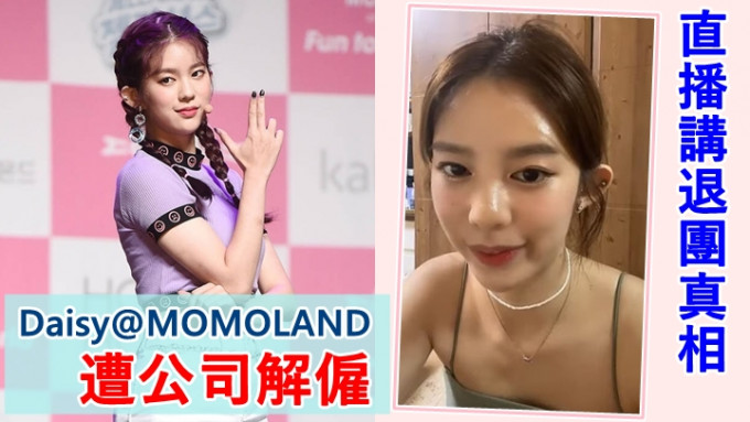 Daisy日前開直播時，表示自己非自願退出MOMOLAND。