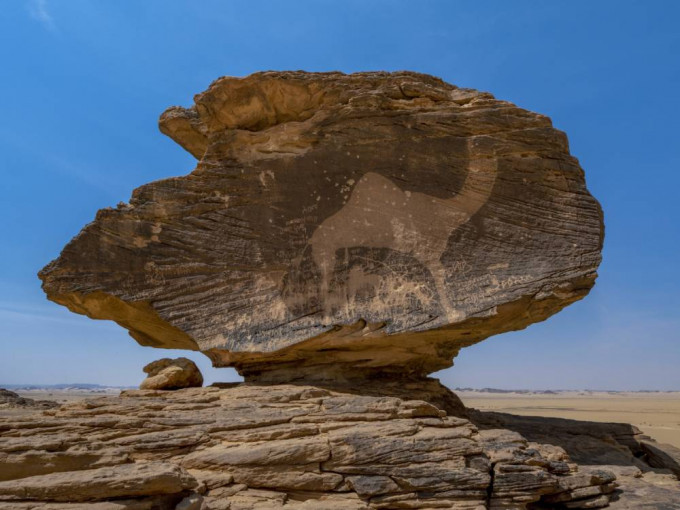沙特西南的希馬（Hima）岩畫，規模全球數一數二。新華社圖片