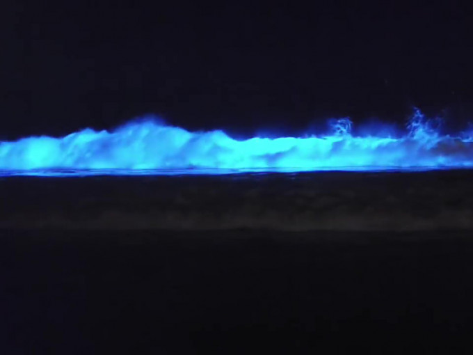 发光藻类因波浪搅动而发出蓝光。（资料图片）