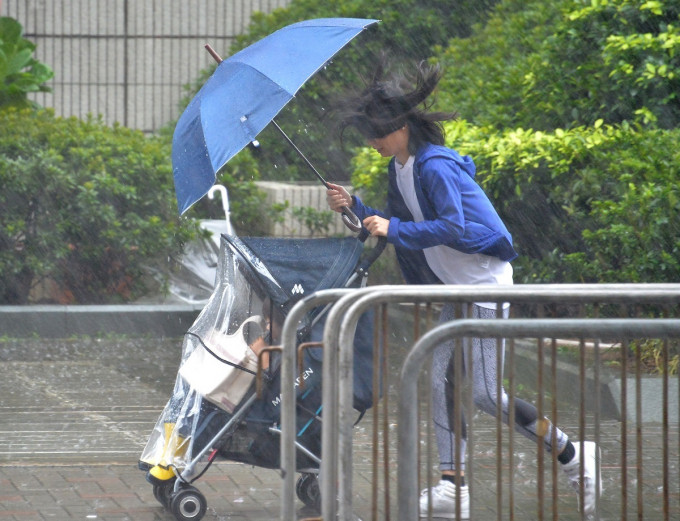 离岸及高地吹强风。资料图片