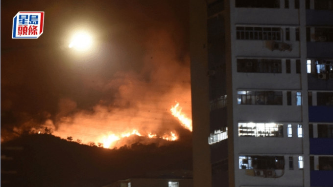 港大研究：全球WUI剧增致山火风险急升 资料图片