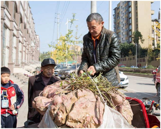 人群團團圍住紅薯王。網圖