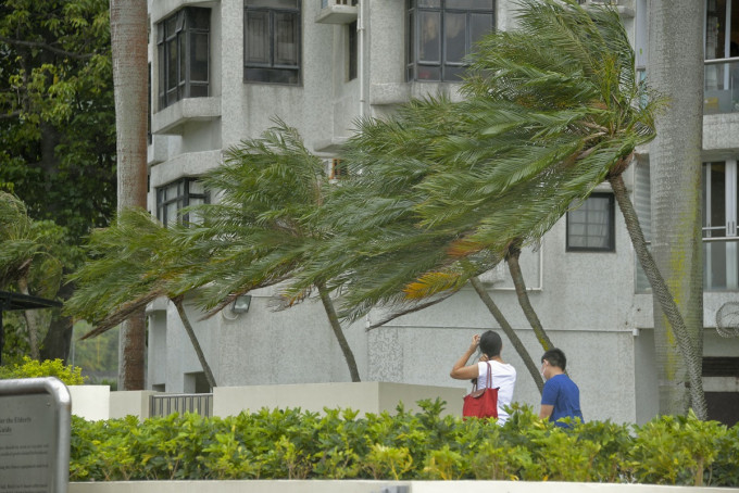 天文台提醒，預料本港吹偏東強風。市民應提防海面大浪可能帶來的危險。資料圖片