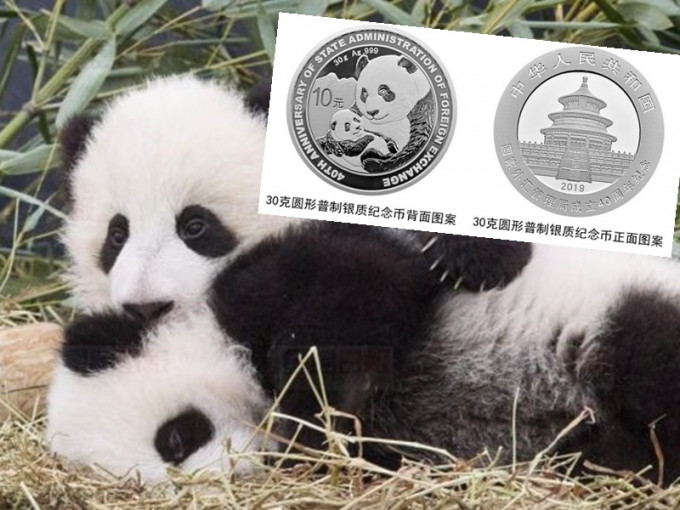 人民銀行推熊貓紀念幣。網上圖片