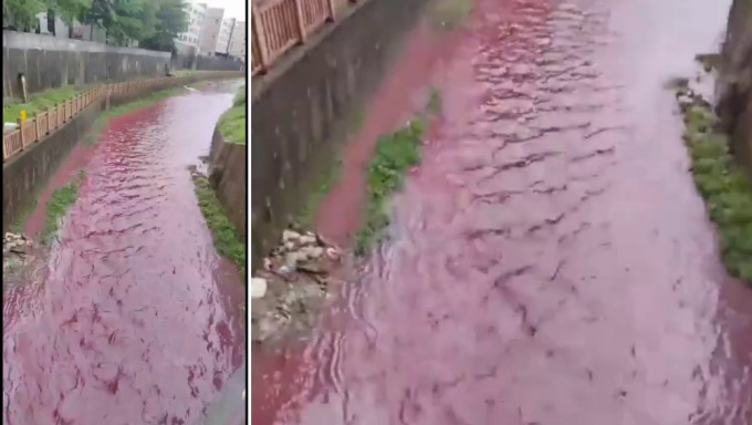 深圳一河流呈粉红色，惹疑工业污染疑云。
