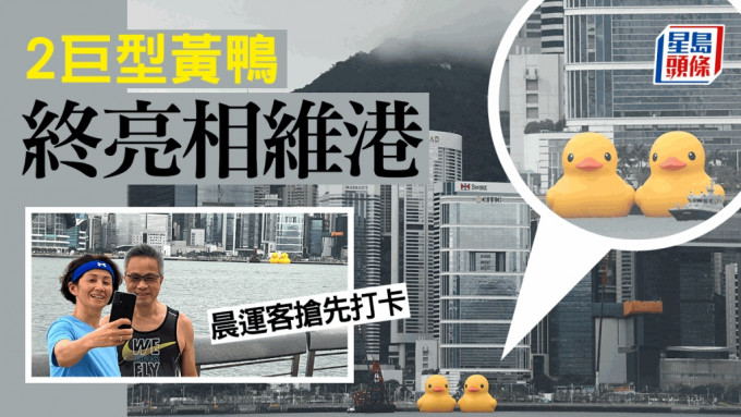 巨型黄色「橡皮鸭」（Rubber Duck）事隔十年再临香江，昨日（8日）晚上一对橡皮鸭于湾仔会展广场对开海面完成充气，今早11时将进行启航礼。李家杰摄