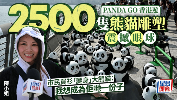 PANDA GO 香港游｜今明星光大道展出  2500只熊猫雕塑震撼眼球