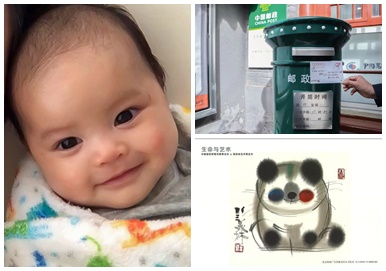 盧寵茂由北京寄出中國器官移植發展基金會名信片，祝福換心女嬰芷希早日康復。