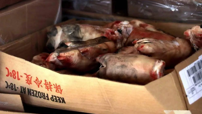货柜内裸露的猪脚。  深圳海警局