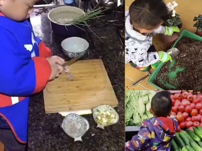 四川樂山一位3歲小男孩買菜、煮飯、種植盆栽，小小年紀做起事來有板有眼，得到網民一片稱讚。(網圖)