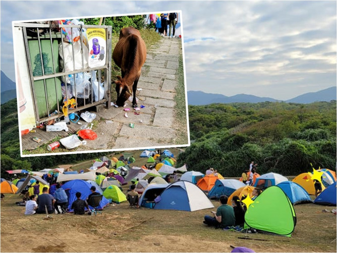 FB專頁「西貢牛」發文指假日大批遊客到塔門露營，不但亂拋垃圾，更趕走草地上的牛隻。FB專頁「西貢牛」圖片