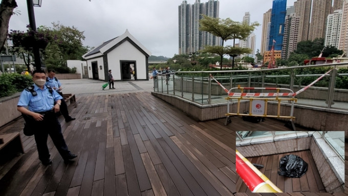 半米长蟒蛇匿香港仔海滨公园花槽，被职员用铁鈎拨入黑色胶袋生摛。杨伟亨摄