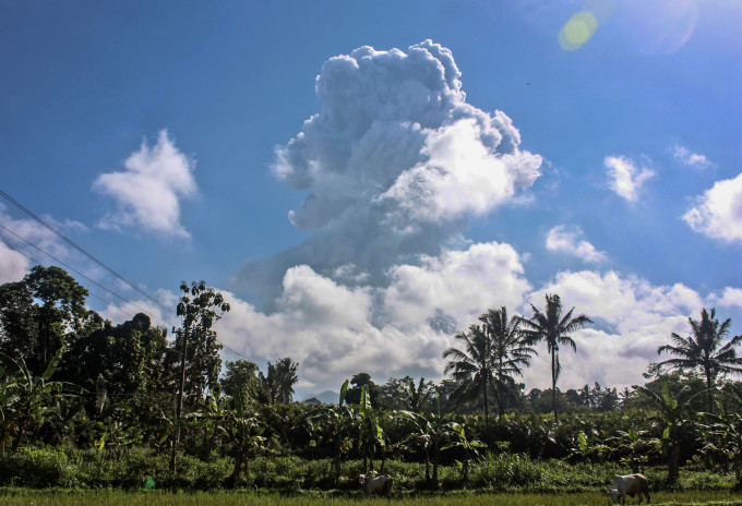 印尼默拉皮火山今日曾兩度爆發。 AP
