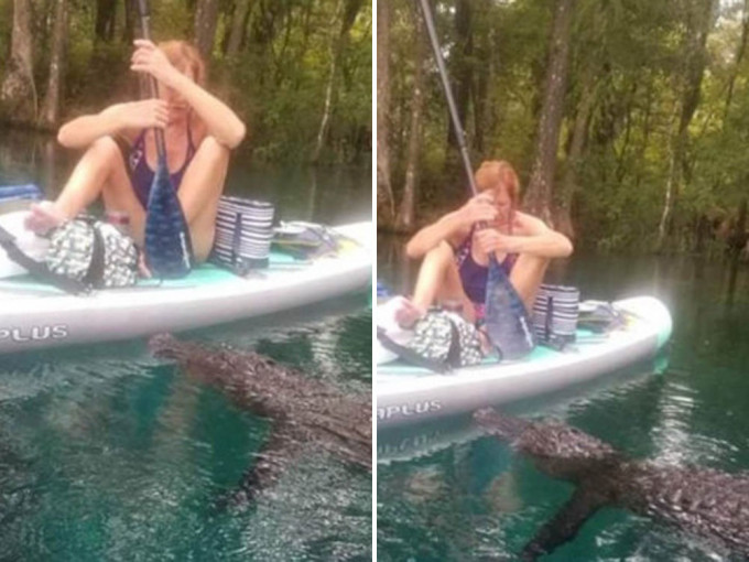 佛州女子划船遇襲， 划槳力抗逾3米長巨鱷。