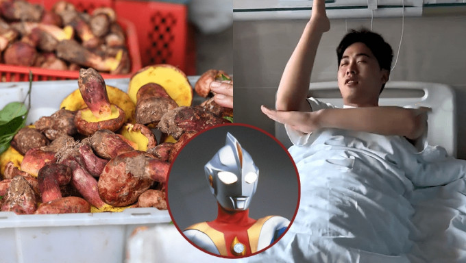 安徽男食「见手青」煮唔熟有幻觉，以为自己是超人迪加床上乱舞打怪兽。