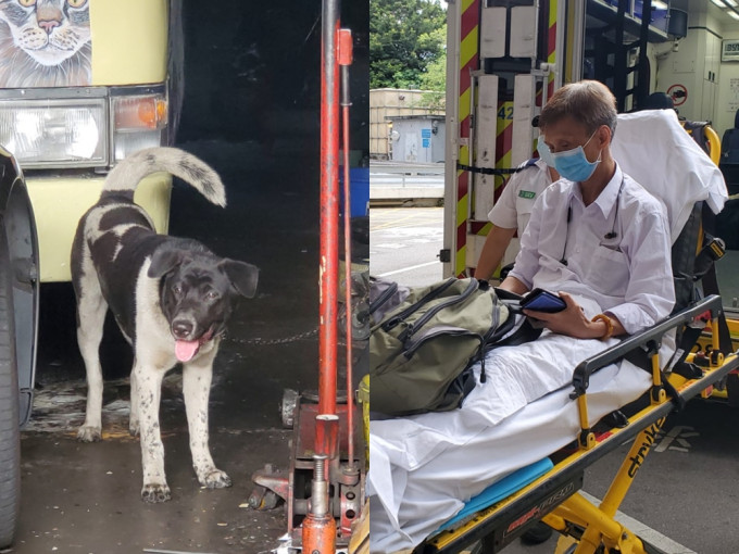 新蒲崗一間車房飼養一頭黑白色唐狗咬傷途人，一名男子左腳被咬傷。