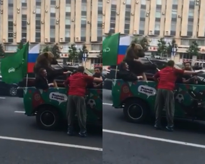 俄羅斯揭幕戰大炒沙特，球迷「High爆」帶棕熊慶祝。影片截圖