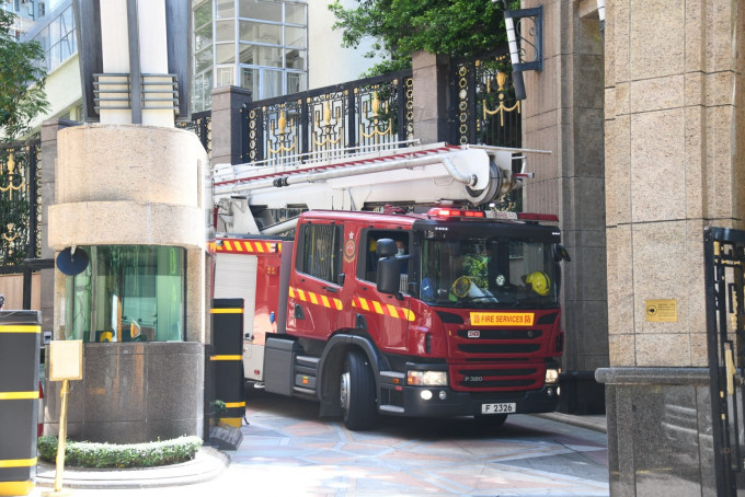 女子日前在礼顿山高处堕下死亡。资料图片