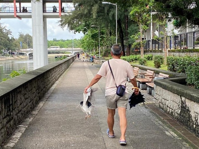 男子在林村河捉鹭鸟。FB图