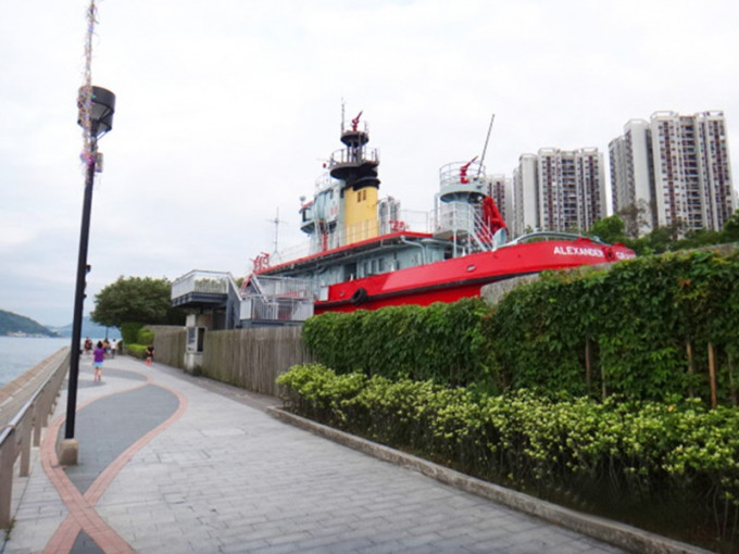 老婦在鰂魚涌公園對開海面載浮載沉。網圖