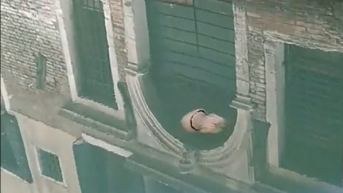 一只水母悠游在威尼斯运河。网上图片