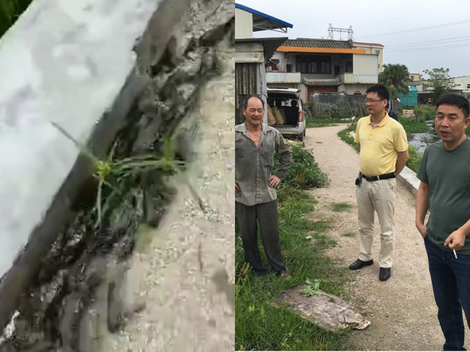 潮州一个池塘近日有大量鱼群跳上岸，当局派员调查。潮州市应急管理局网页图片