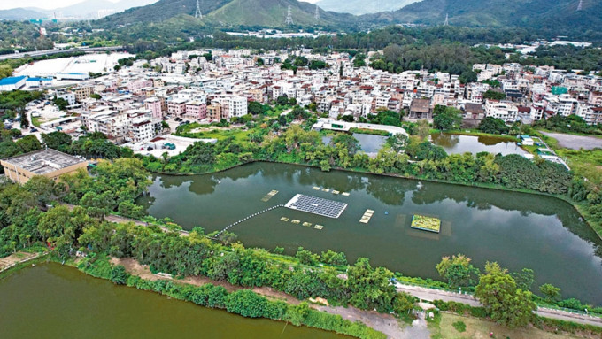 新田鄉村防洪計畫的蓄洪池，池面面積約一萬六千四百平方米，成為首個浮式太陽能發電系統的試點。