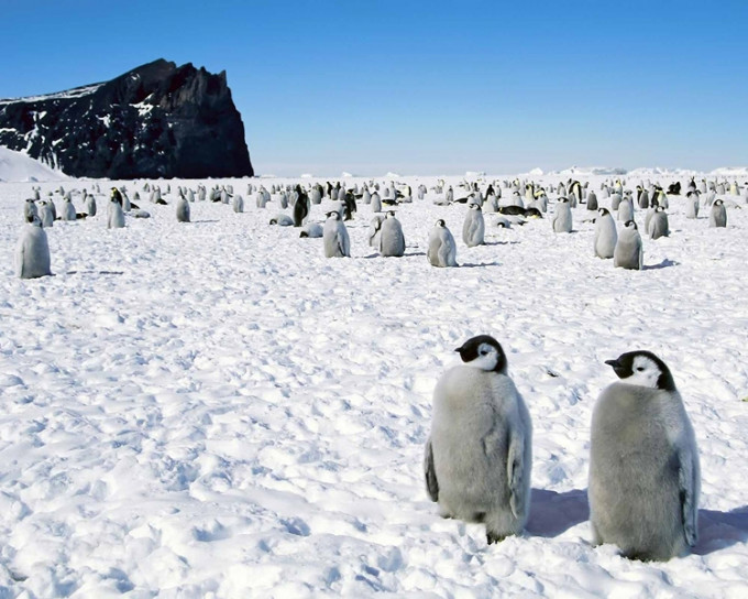 南極處於攝氏零下40度低溫。網圖