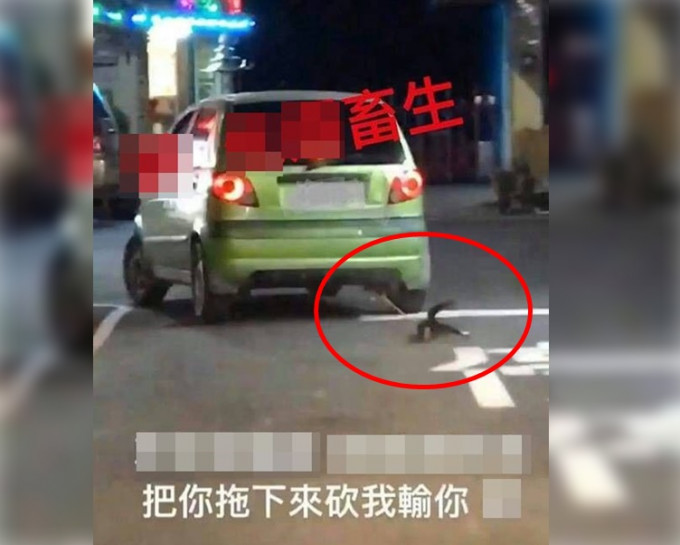 從上載fb的照片可見私家車將貓咪綁在車後拖行。台灣動保社團fb