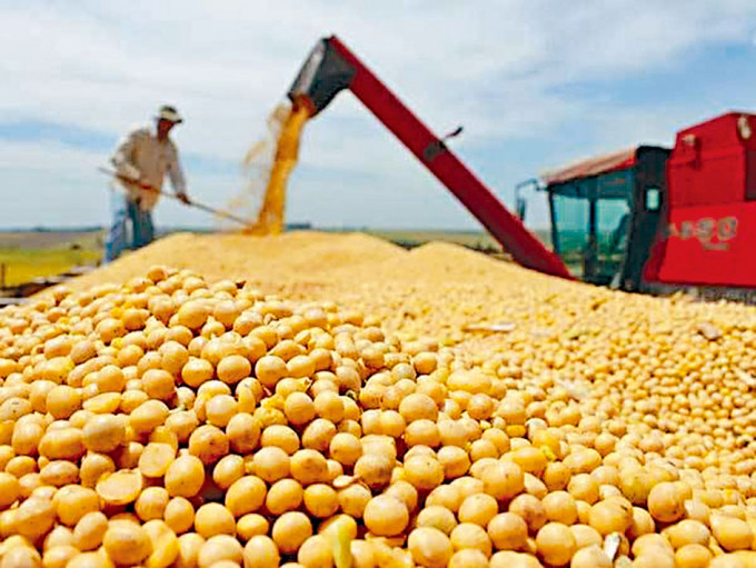 大豆是中国进口的主要美国农产品。