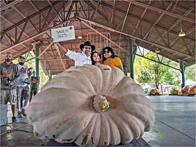 當地農民沙迪克種植的巨型南瓜奪得冠軍。AP圖片