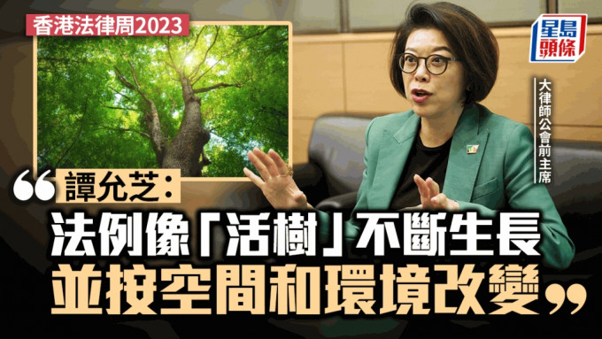 大律師公會前主席、香港故宮博物館董事局主席譚允芝向《星島》表示，法例像一棵「活樹」，不斷生長並按空間和環境改變。資料圖片